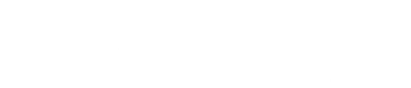 Business Website Leader